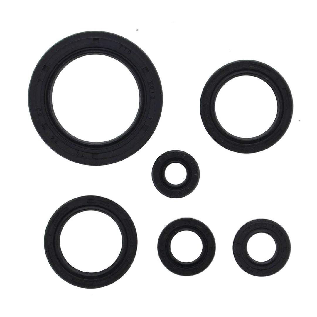 Oil Seal Kit 822978