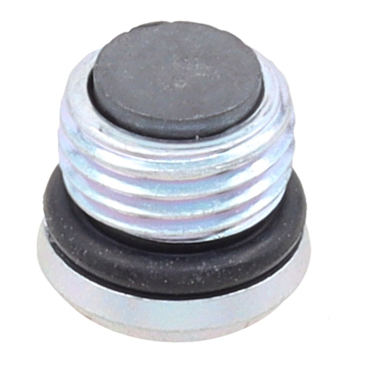 Whites Magnetic Drain Plug M10 x 6.9 - P1.0